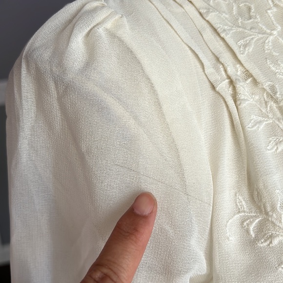 Topshop Sheer Long Sleeve Embroidery Top - Picture 4 of 9